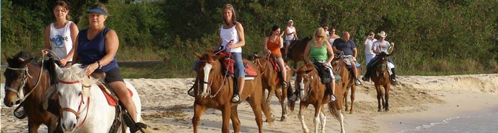 horseback riding in st. croix